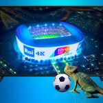 Mandiali Qatar RAI tivùsat